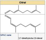 حشيشة الليمون - Cymbopogon citrates Citral1